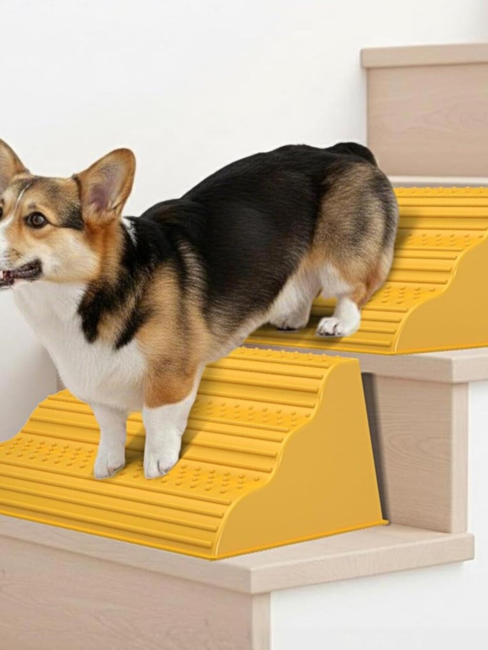 Moderate 3-Step Stair Ramp for Aged & Injured Pets 2PCS